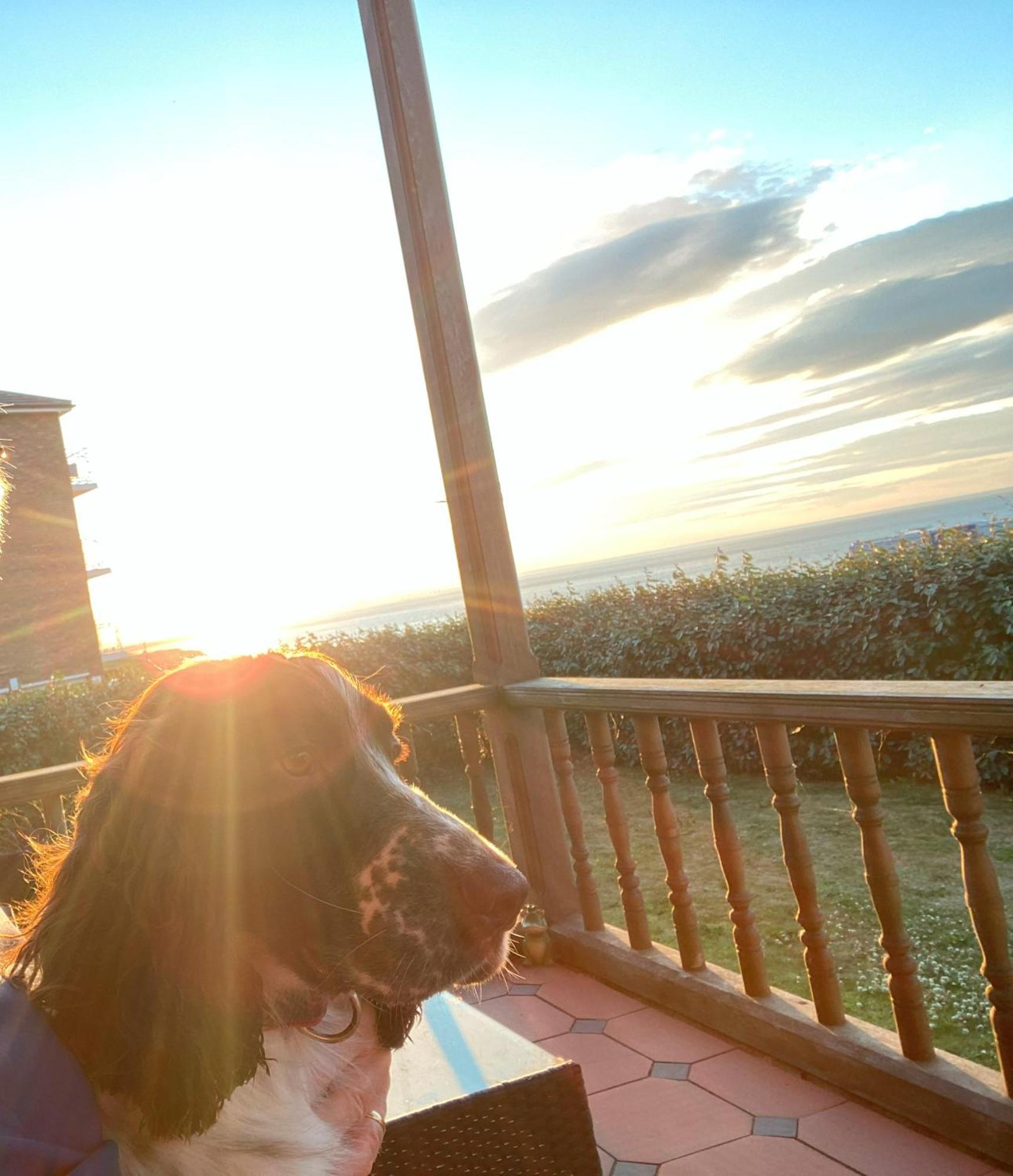 Sea Forever Oceanfront Home Perfectly Saltburn エクステリア 写真
