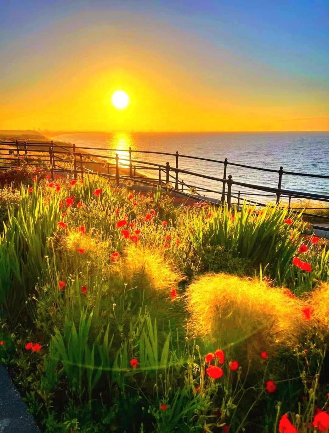 Sea Forever Oceanfront Home Perfectly Saltburn エクステリア 写真
